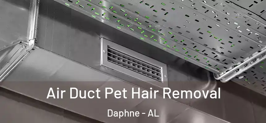  Air Duct Pet Hair Removal Daphne - AL