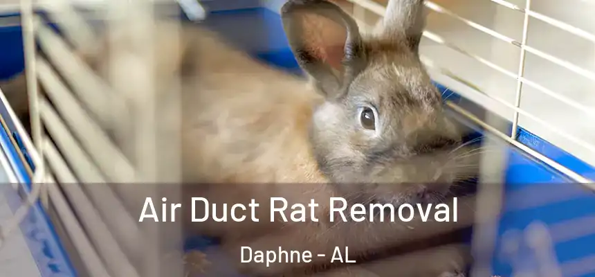 Air Duct Rat Removal Daphne - AL