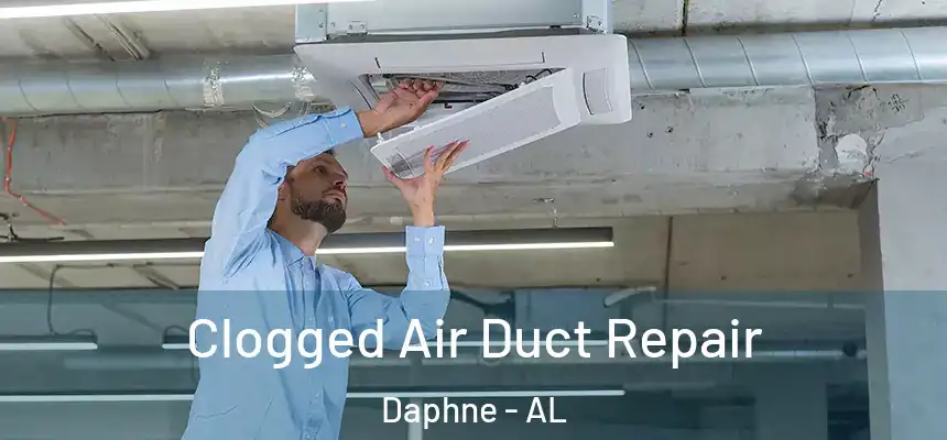  Clogged Air Duct Repair Daphne - AL