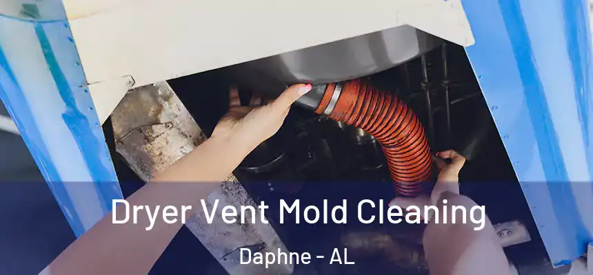  Dryer Vent Mold Cleaning Daphne - AL
