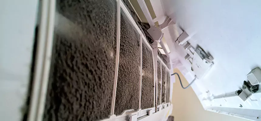 Preventive Air Duct Bacteria Removal in Daphne