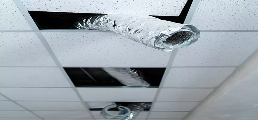 Our Air Duct Pet Hair Removal Services in Daphne, AL