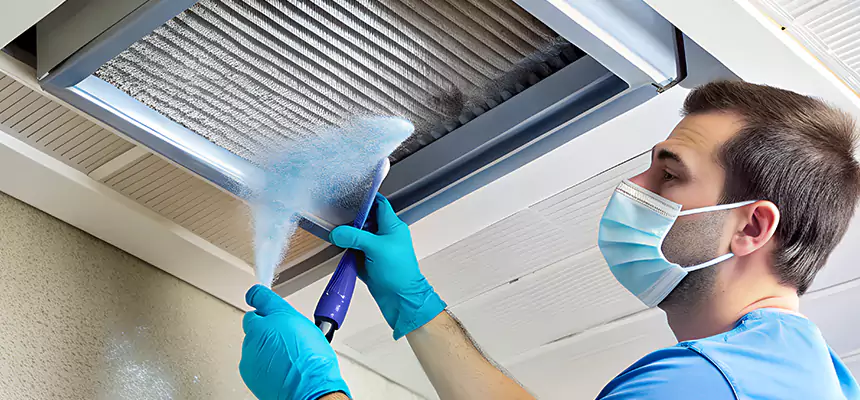 Proactive Dryer Vent & Auxiliary Duct Pollen Cleanup in Daphne, AL