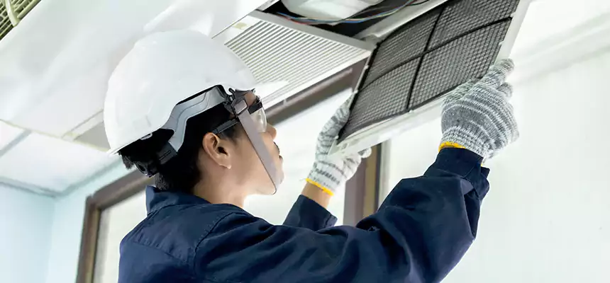 Our Mold & Mildew Removal from Air Ducts Services in Daphne, AL