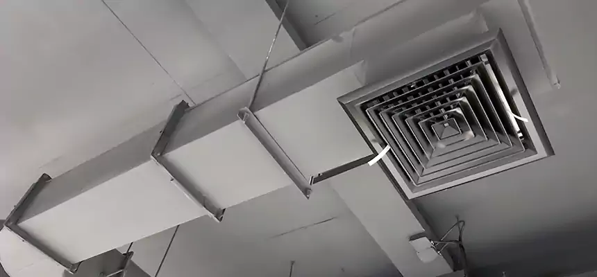 Our Pest Removal From Ducts Services in Daphne, AL