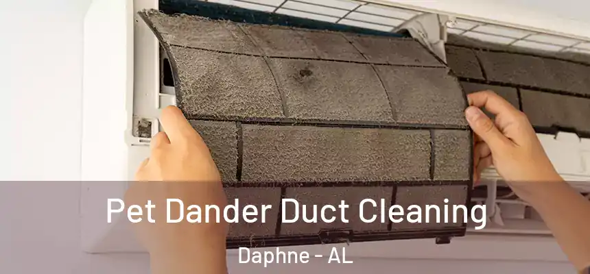  Pet Dander Duct Cleaning Daphne - AL