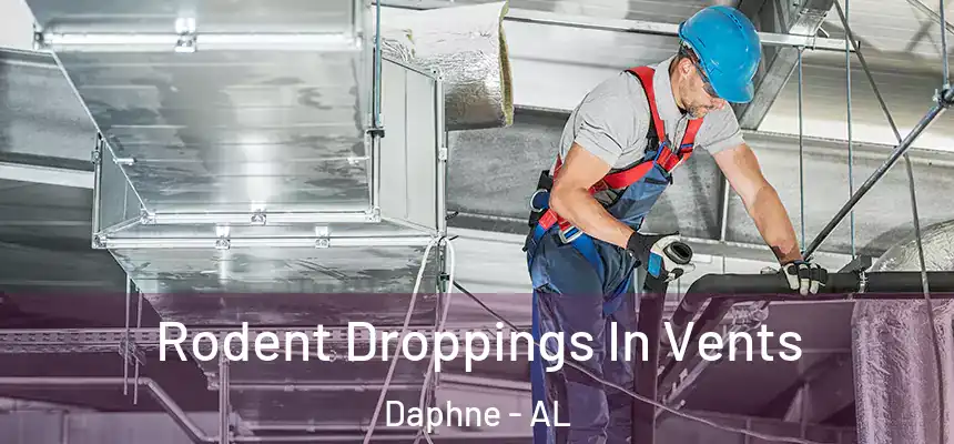 Rodent Droppings In Vents Daphne - AL