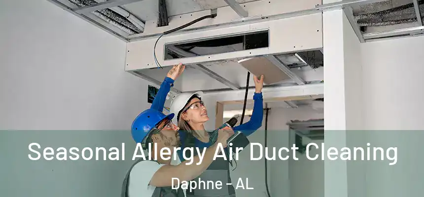 Seasonal Allergy Air Duct Cleaning Daphne - AL