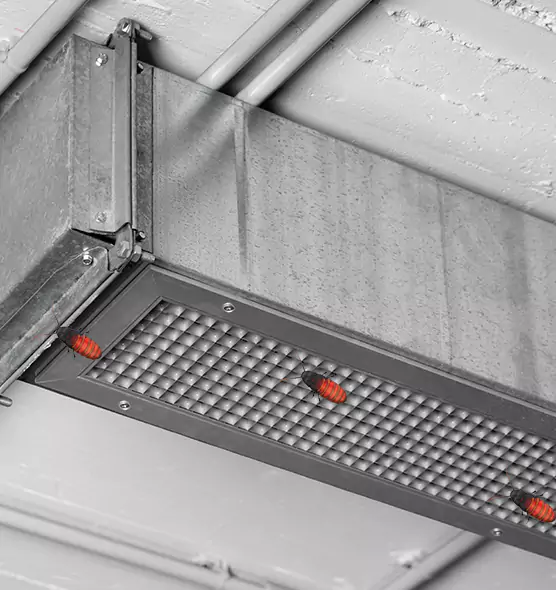 About Air Duct Cockroach Removal in Daphne, AL