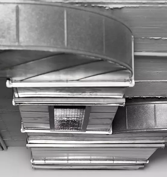 Professional Air Duct Pest Removal in Daphne, AL