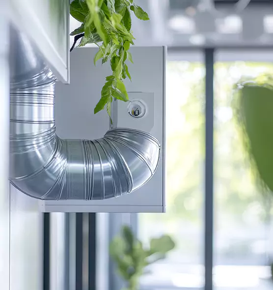 Professional Eco-Friendly Duct Cleaning Services in Daphne, AL