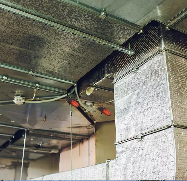 Why Homeowners & Businesses Trust Us in Daphne, AL?