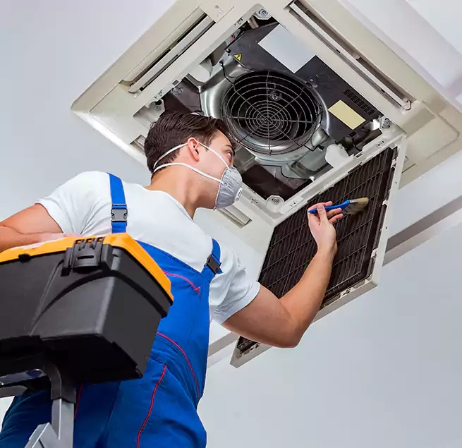 Why Homeowners & Businesses Trust Us in Daphne, AL