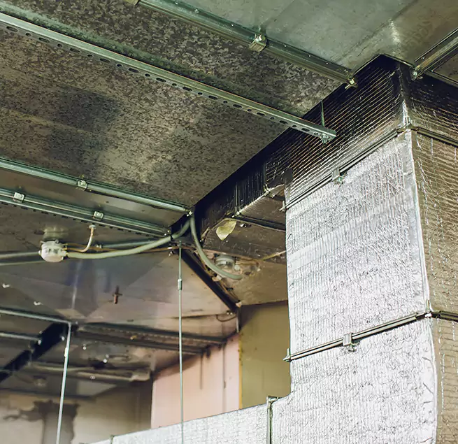 Why Homeowners & Businesses Trust Us in Daphne, AL?