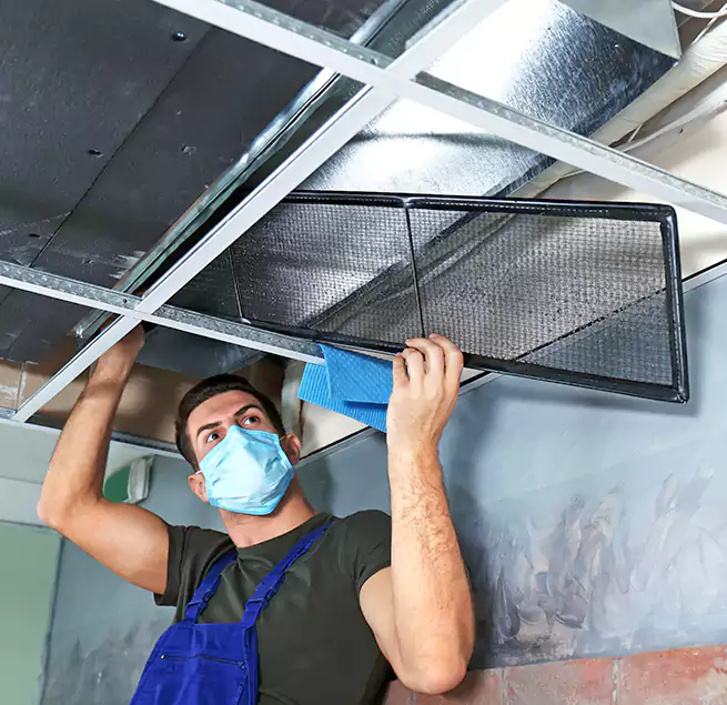 Why Homeowners Businesses Trust Us in Daphne, AL